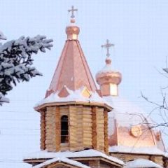 Канал У Николушки в тайге в мессенджере MAX — 334 подписчика