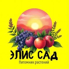 Канал Элис Сад Питомник растений в мессенджере MAX — 494 подписчика