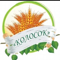 Канал МБДОУ детский сад "Колосок" в мессенджере MAX — 15 подписчиков