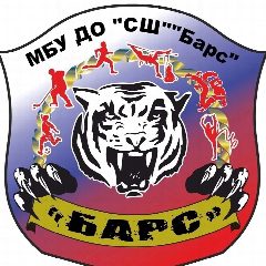 Канал МБУ ДО "СПОРТИВНАЯ ШКОЛА" "БАРС" в мессенджере MAX — 142 подписчика