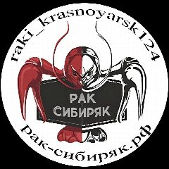 Канал Рак Сибиряк - раки и морепродукты Красноярск в мессенджере MAX — 165 подписчиков