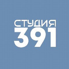 Канал Студия 391 | Прокачиваю сайты для бизнеса в мессенджере MAX — 73 подписчика