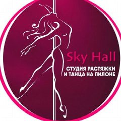 Канал Дом танца- SkyHall Красноярск в мессенджере MAX — 84 подписчика