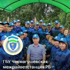 Канал ГБУ Чекмагушевская МРВС РБ в мессенджере MAX — 36 подписчиков