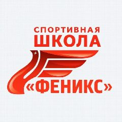 Канал Спортивная школа "Феникс" в мессенджере MAX — 609 подписчиков