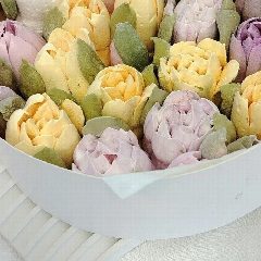 Канал Confettivl в мессенджере MAX — 11 подписчиков