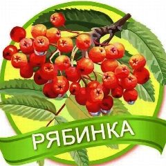 Канал МБДОУ "ДС 3 Рябинка" С. Прохоры в мессенджере MAX — 41 подписчик