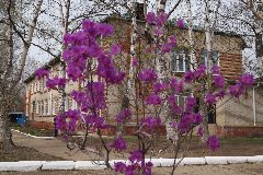 Канал МБДОУ Детский сад № 1 "Солнышко" города Фокино Приморского края в мессенджере MAX — 15 подписчиков