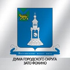 Канал Дума городского округа ЗАТО Фокино в мессенджере MAX — 29 подписчиков