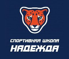 Канал Спортивная школа «Надежда» и ФОК п. Новый в мессенджере MAX — 98 подписчиков