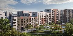 Канал ТСН "Веста" в мессенджере MAX — 123 подписчика