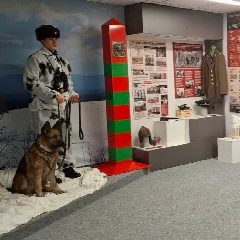 Канал МБУ «КРАЕВЕДЧЕСКИЙ МУЗЕЙ ПОЖАРСКОГО МО» в мессенджере MAX — 84 подписчика