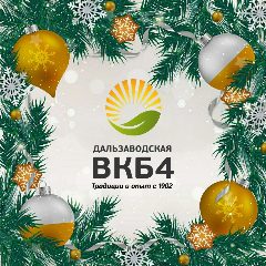 Канал ВКБ №4 "Дальзаводская больница" в мессенджере MAX — 282 подписчика