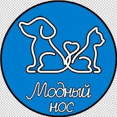 Канал Модный нос 🐶🐱 в мессенджере MAX — 69 подписчиков