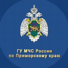 Канал МЧС Приморского края в мессенджере MAX — 1 929 подписчиков