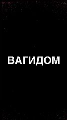 Канал ВАГИДОМ в мессенджере MAX — 291 подписчик