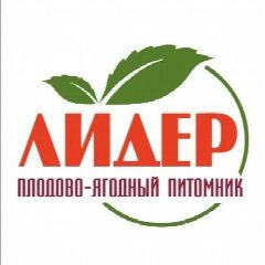 Канал Питомник Лидер. Саженцы и свежая ягода в мессенджере MAX — 319 подписчиков