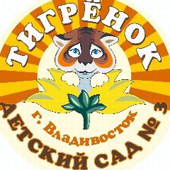 Канал МБДОУ "Детский сад №3 г.Владивостока" в мессенджере MAX — 151 подписчик