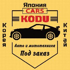 Канал KODUCARS Авто, запчасти из Японии, Китая, Кореи, ОАЭ в мессенджере MAX — 701 подписчик