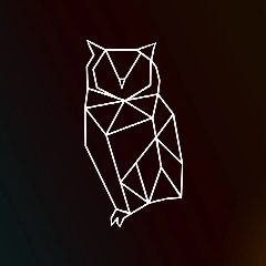 Канал Официальный канал МБОУ "ЦО №39 г. Владивостока" в мессенджере MAX — 779 подписчиков