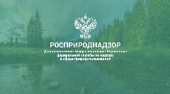 Канал Дальневосточное межрегиональное управление Росприроднадзора в мессенджере MAX — 45 подписчиков