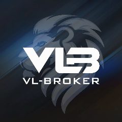Канал Таможенный брокер VL-BROKER в мессенджере MAX — 2 776 подписчиков