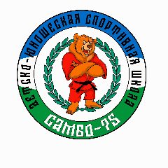 Канал МБОО ДО ДЮСШ "Самбо-75" г. Давлеканово в мессенджере MAX — 36 подписчиков