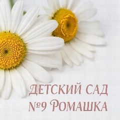 Канал МКДОУ"Детский сад №9"Ромашка" в мессенджере MAX — 50 подписчиков