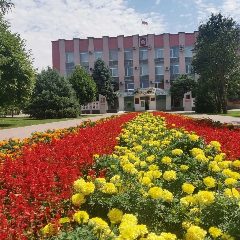 Канал Администрация Курского муниципального округа Ставропольского края в мессенджере MAX — 356 подписчиков