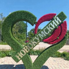 Канал Новокумский территориальный отдел АЛМО СК в мессенджере MAX — 105 подписчиков