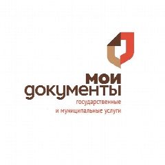 Канал МФЦ Нефтекумского муниципального округа Ставропольского края в мессенджере MAX — 218 подписчиков