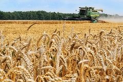 Канал УСХ АНМО СК в мессенджере MAX — 10 подписчиков