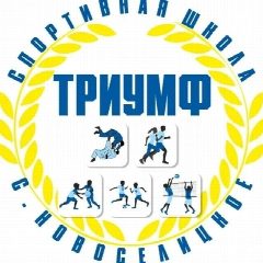 Канал МБУ ДО "Спортивная школа" Новоселицкого МО в мессенджере MAX — 75 подписчиков