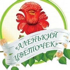 Канал Сообщество МБДОУ детский сад № 17 "Аленький цветочек" в мессенджере MAX — 123 подписчика