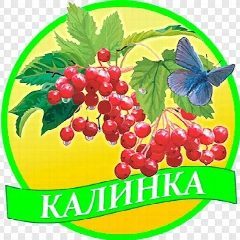 Канал МКДОУ д/с №4 "Калинка" АТМО в мессенджере MAX — 32 подписчика