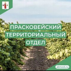 Канал Прасковейский ТО АБМО СК в мессенджере MAX — 1 085 подписчиков