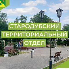 Канал Стародубский территориальный отдел в мессенджере MAX — 955 подписчиков