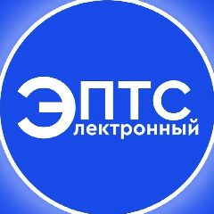 Канал Электронный ПТС в мессенджере MAX — 25 подписчиков