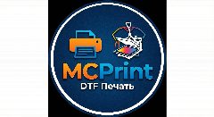 Канал MCPrint в мессенджере MAX — 29 подписчиков