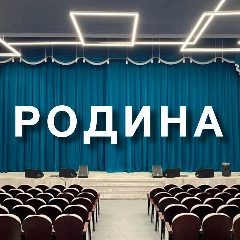 Канал РОДИНА в мессенджере MAX — 317 подписчиков