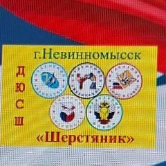 Канал МБУ ДО СШ "Шерстяник" г. Невинномысск в мессенджере MAX — 13 подписчиков