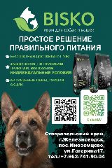 Канал КОРМА БИСКО. в мессенджере MAX — 80 подписчиков