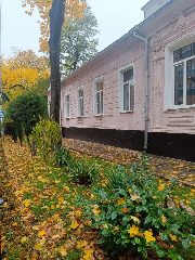Канал МБДОУ детский сад №1 "Василёк" в мессенджере MAX — 50 подписчиков