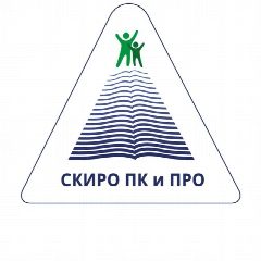 Канал СКИРО ПК и ПРО в мессенджере MAX — 1 090 подписчиков