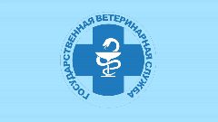 Канал Управление ветеринарии СК в мессенджере MAX — 137 подписчиков