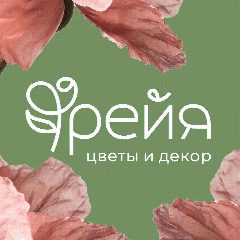 Канал Фрейя | Цветы Уфа | Доставка в мессенджере MAX — 55 подписчиков