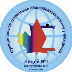 Канал МАОУ «Лицей № 1 им. Куликова В.И.» г. Стерлитамак РБ в мессенджере MAX — 803 подписчика