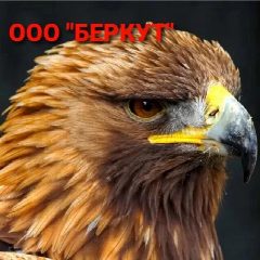 Канал УК ООО "Беркут" в мессенджере MAX — 158 подписчиков