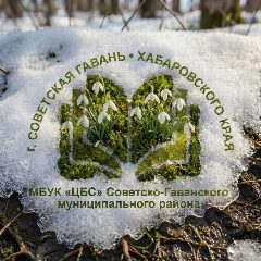 Канал Централизованная библиотечная система Советско-Гаванского района в мессенджере MAX — 91 подписчик