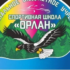 Канал Спортивная школа "Орлан" в мессенджере MAX — 195 подписчиков